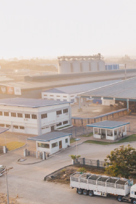 Commercial Roofing Services based in Lakeland, FL - Serving Florida and Georgia