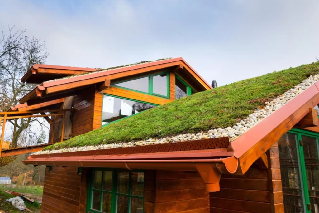 Extensive Green Roofs in Lakeland