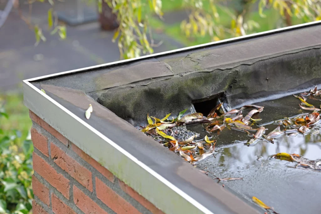 Scupper drainage system