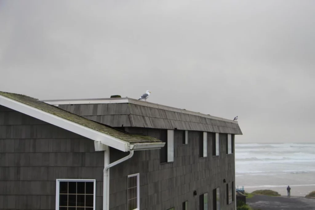Pooling or Ponding on Flat Roofs