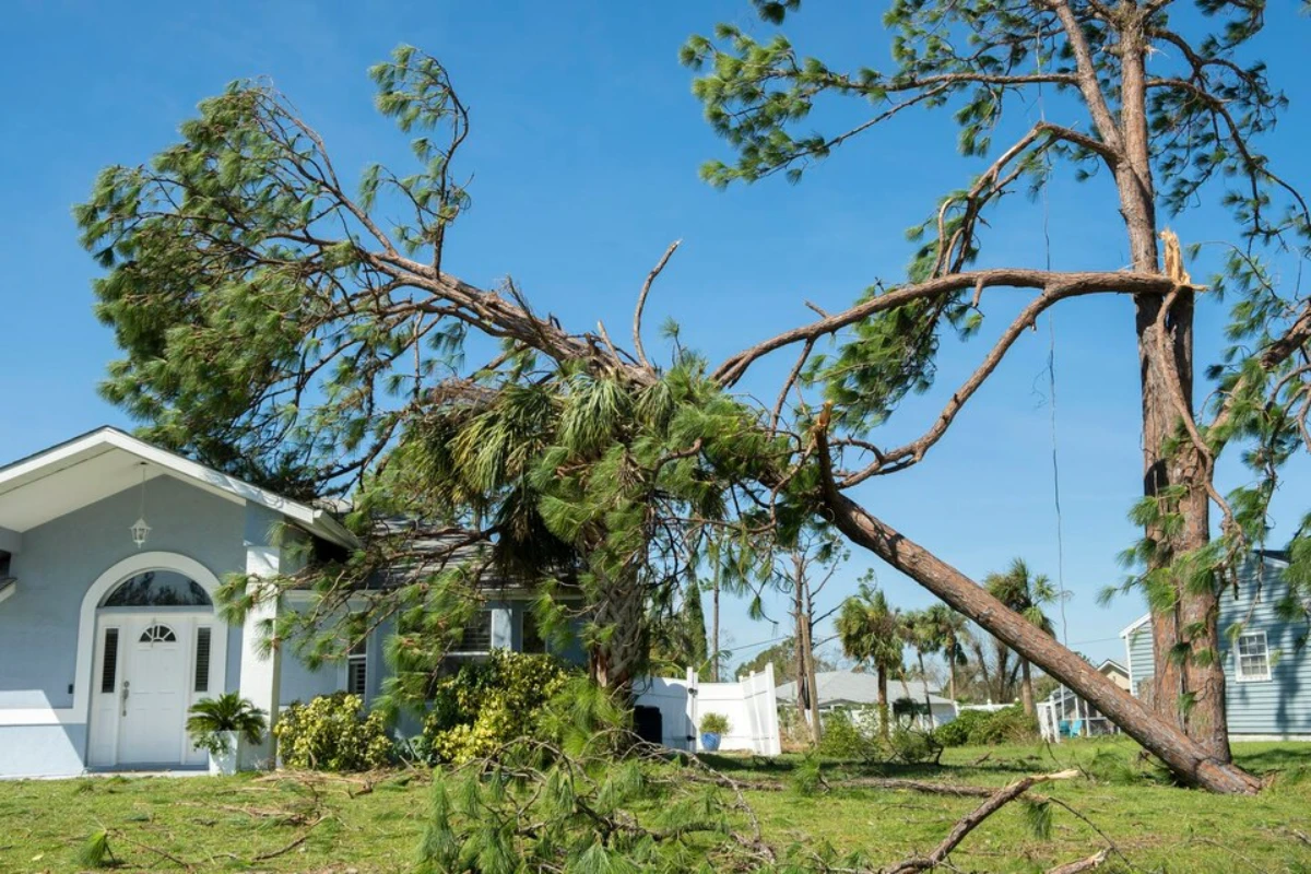 Preparing Your Roof Before a Hurricane